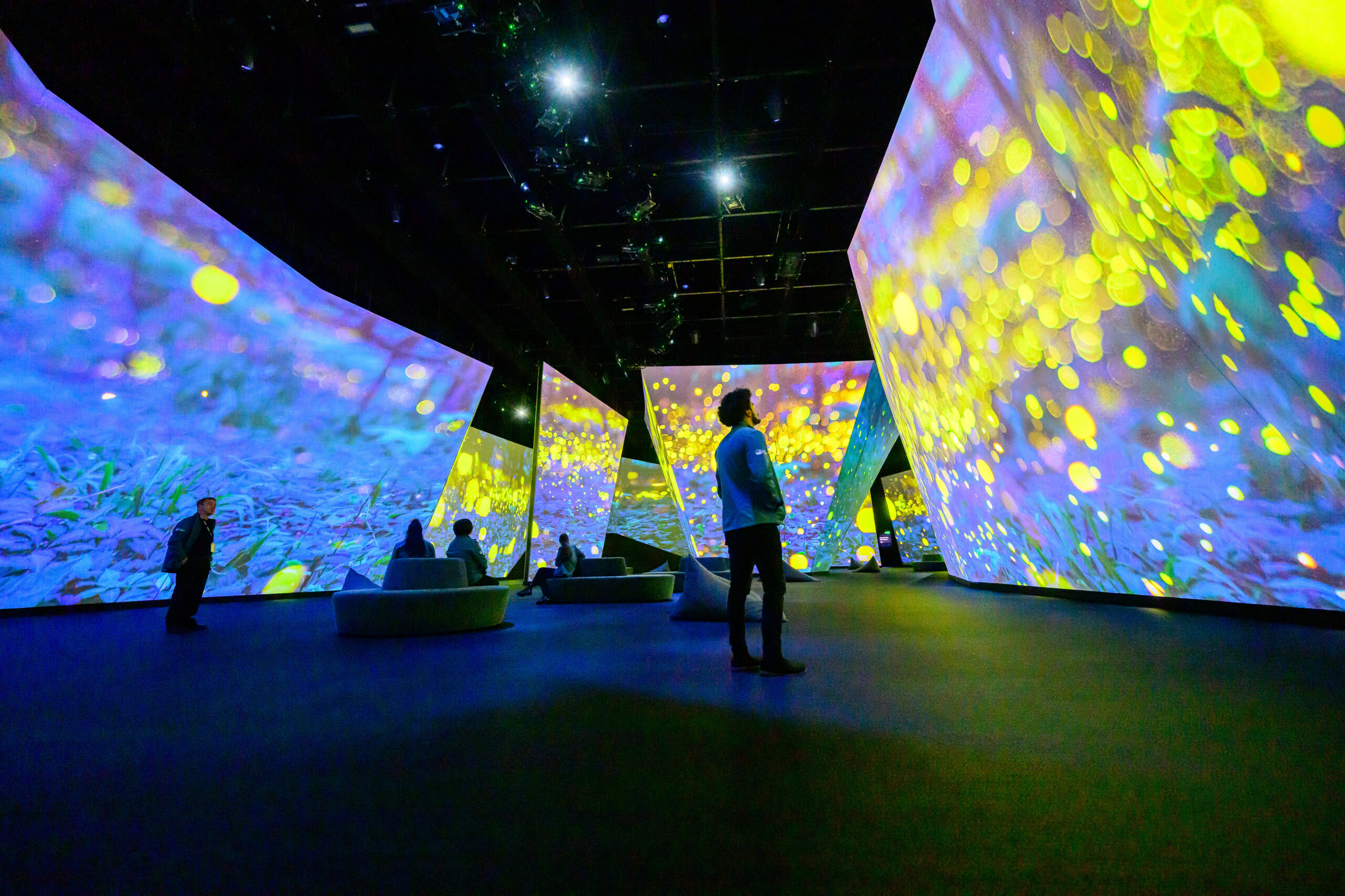 Hive to Launch Nucleus Media Player at LDI 2024